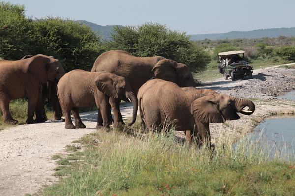 Tau Game Lodge Madikwe Game Reserve Ngoại thất bức ảnh