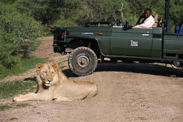 Tau Game Lodge Madikwe Game Reserve Ngoại thất bức ảnh