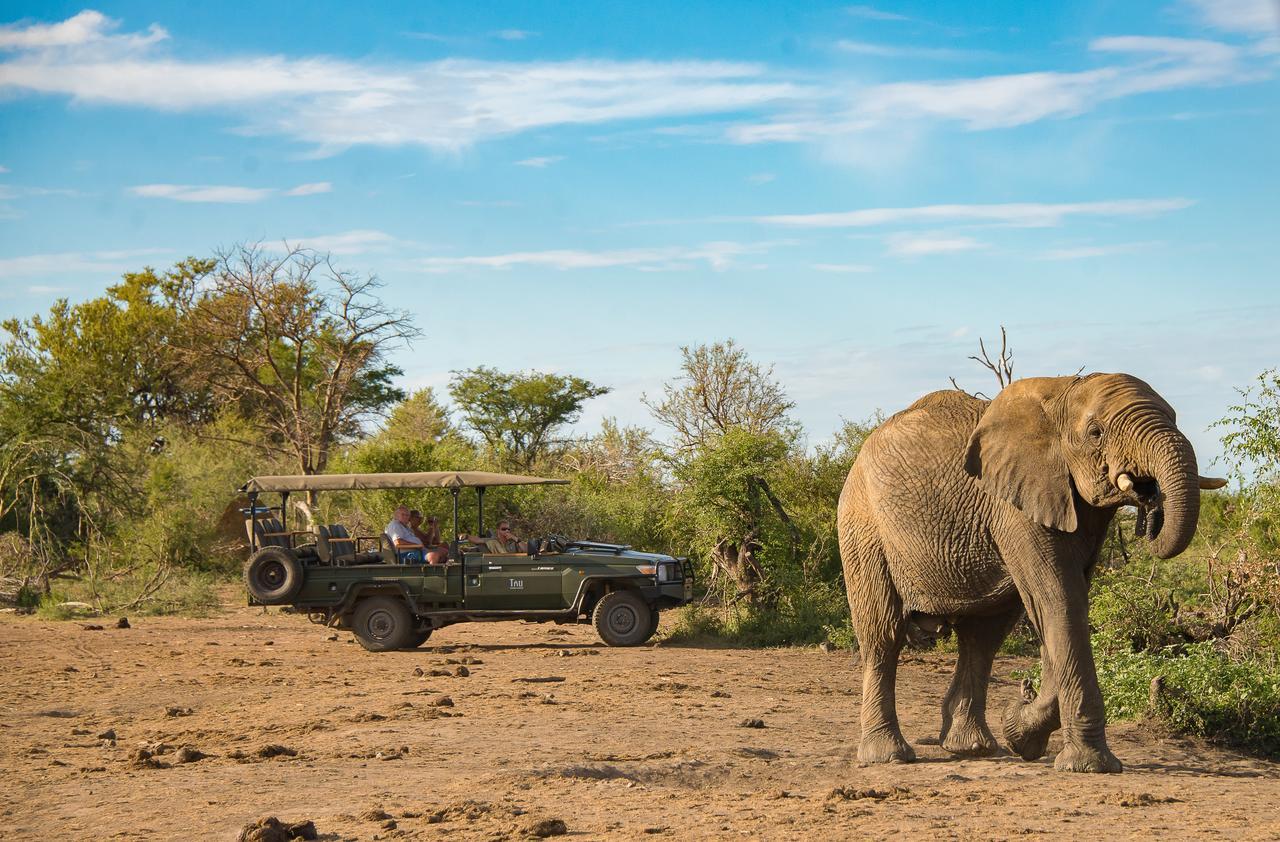 Tau Game Lodge Madikwe Game Reserve Ngoại thất bức ảnh